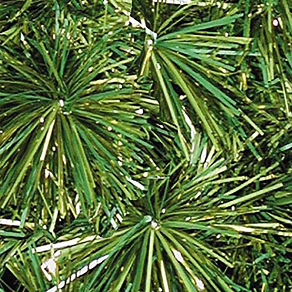 14/4-2 Royal Pine Garland 1 14/4-2 Royal Pine Garland