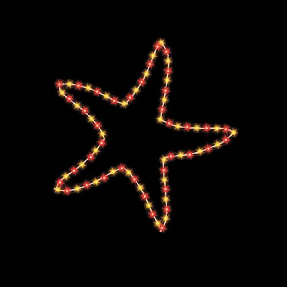 6' Starfish, LED 1 6' Starfish, LED