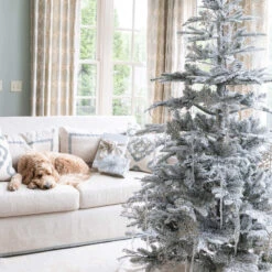 King Of Christmas Glass Icicle Ornaments (12 Pack) 7 King Of Christmas Glass Icicle Ornaments (12 Pack) -The King Of Christmas 12PackIcicles