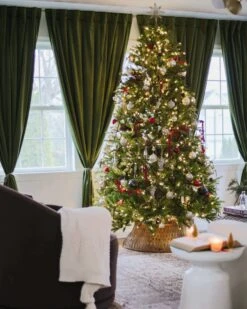 King Of Christmas 10' King Fraser Fir Quick-Shape Artificial Christmas Tree With 1600 Warm White & Multi-Color LED Lights 21 King Of Christmas 10' King Fraser Fir Quick-Shape Artificial Christmas Tree With 1600 Warm White & Multi-Color LED Lights -The King Of Christmas 20221115140235 IMG 7716 2