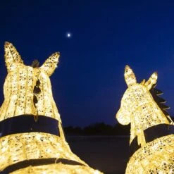 3D Carriage With Horses -The King Of Christmas 3d 11024 l