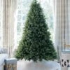 King Of Christmas 12' Royal Fir Quick-Shape Artificial Christmas Tree With 2000 Warm White & Multi-Color LED Lights
