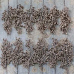 King Of Christmas Champagne Berry Picks (12 Pack)