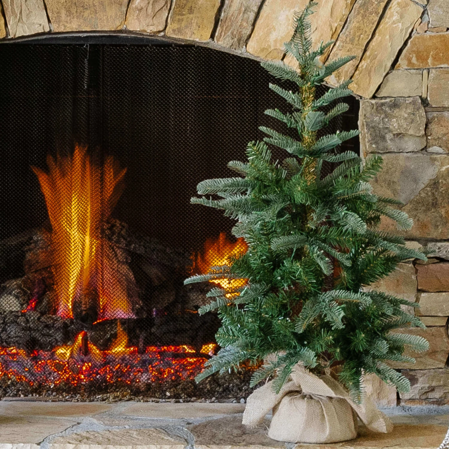 King Of Christmas 3' King Noble Fir Tabletop Tree With 70 Warm White LED Lights 1 King Of Christmas 3' King Noble Fir Tabletop Tree With 70 Warm White LED Lights