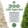 King Of Christmas 300 Warm White & Multi-Color LED String Light Set