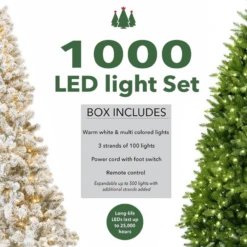 King Of Christmas 1000 Warm White & Multi-Color LED String Light Set