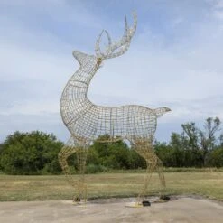 24' Deer 11 24' Deer -The King Of Christmas ab9a0145