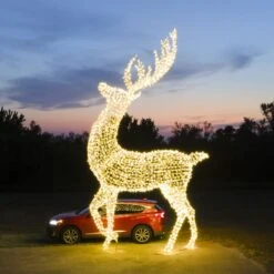 24' Deer 14 24' Deer -The King Of Christmas dji 0036
