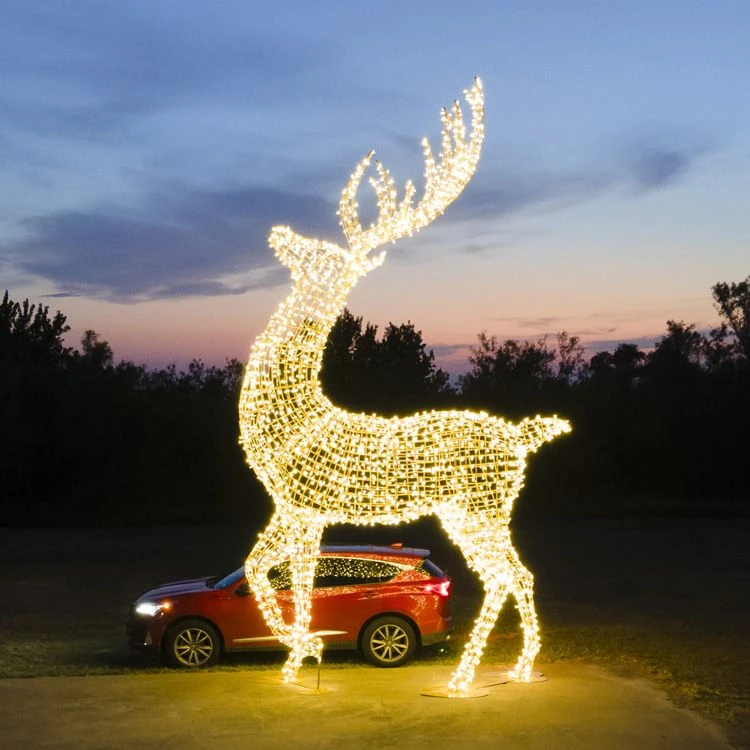 24' Deer 6 24' Deer - Image 6