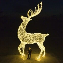 24' Deer 15 24' Deer -The King Of Christmas dji 0055 copy