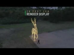 24' Deer 17 24' Deer -The King Of Christmas hqdefault 16 111