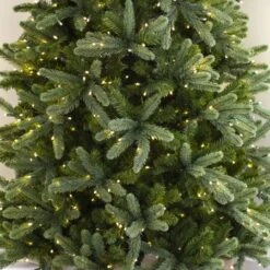 9' Indoor LED Norway Spruce Slimline Christmas Tree - Warm White 9 9' Indoor LED Norway Spruce Slimline Christmas Tree - Warm White -The King Of Christmas img 0094