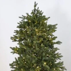 9' Indoor LED Mixed Douglas Fir Christmas Tree - Warm White 8 9' Indoor LED Mixed Douglas Fir Christmas Tree - Warm White -The King Of Christmas img 0123