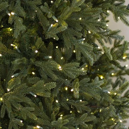 12' Indoor LED Mixed Douglas Fir Tree - Warm White 2 12' Indoor LED Mixed Douglas Fir Tree - Warm White - Image 2