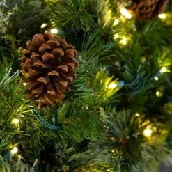 9' X 18" Mixed Pine Garland, Lit 10 9' X 18" Mixed Pine Garland, Lit -The King Of Christmas mpl zoom 2