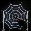 Halloween Spider Web Selfie Display