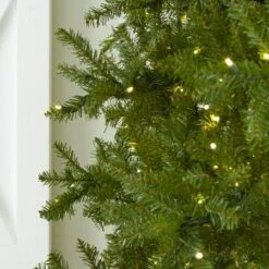 12' Indoor LED McKenzie Noble Fir Christmas Tree - Warm White -The King Of Christmas t it 12 1213 ww 3