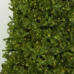 12' Indoor LED McKenzie Noble Fir Christmas Tree - Warm White -The King Of Christmas t it 12 1213 ww 4