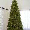 12' Indoor LED McKenzie Noble Fir Christmas Tree - Warm White