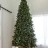 12' Indoor LED Oregon Grand Fir Christmas Tree - Warm White