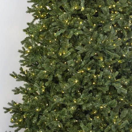 12' Indoor LED Sacred Fir Christmas Tree - Warm White 3 12' Indoor LED Sacred Fir Christmas Tree - Warm White - Image 3