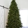 12' Indoor LED Sacred Fir Christmas Tree - Warm White