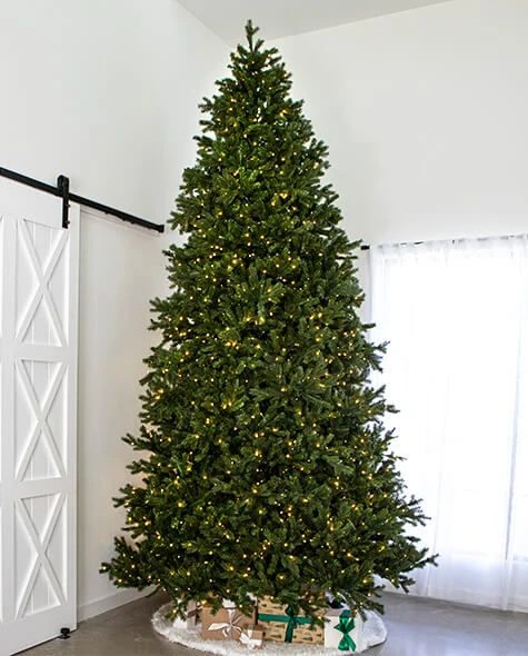 12' Indoor LED Sacred Fir Christmas Tree - Warm White 1 12' Indoor LED Sacred Fir Christmas Tree - Warm White