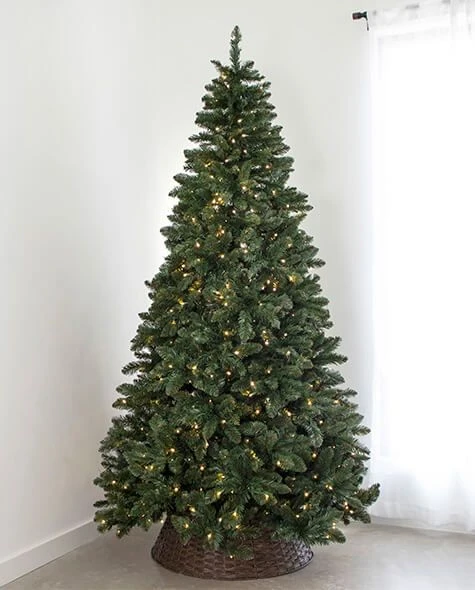 7.5' Indoor LED Oregon Grand Fir Christmas Tree - Warm White 1 7.5' Indoor LED Oregon Grand Fir Christmas Tree - Warm White
