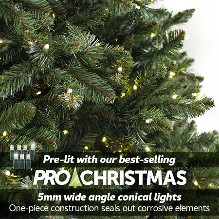 7.5' Indoor LED Oregon Grand Fir Christmas Tree - Warm White 2 7.5' Indoor LED Oregon Grand Fir Christmas Tree - Warm White - Image 2