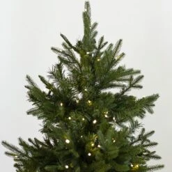 7.5' Indoor LED Mixed Foxtail Pine Christmas Tree - Warm White -The King Of Christmas t it 75 1217 ww 5