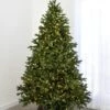 7.5' Indoor LED Sacred Fir Christmas Tree - Warm White