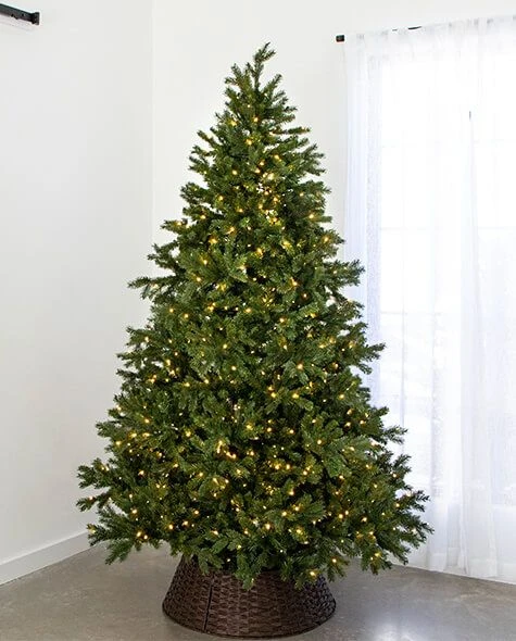 7.5' Indoor LED Sacred Fir Christmas Tree - Warm White 1 7.5' Indoor LED Sacred Fir Christmas Tree - Warm White