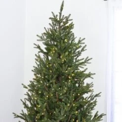 7.5' Indoor LED Upswept Norway Spruce Christmas Tree - Warm White 8 7.5' Indoor LED Upswept Norway Spruce Christmas Tree - Warm White -The King Of Christmas t it 75 1225 ww 2