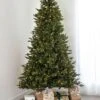 7.5' Indoor LED Mixed Douglas Fir Christmas Tree - Warm White