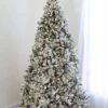 7.5' Indoor LED Flocked Appalachian Spruce Christmas Tree - Warm White