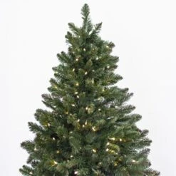 9' Indoor LED Oregon Grand Fir Christmas Tree - Warm White -The King Of Christmas t it 9 1215 ww 2