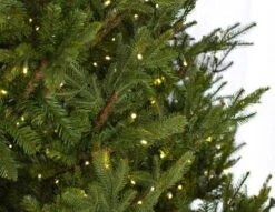 9' Indoor LED Upswept Norway Spruce Christmas Tree - Warm White -The King Of Christmas t it 9 1226 ww 2