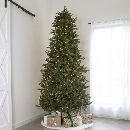 12' Indoor LED Mixed Douglas Fir Tree - Warm White 1 12' Indoor LED Mixed Douglas Fir Tree - Warm White