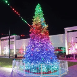 34' Twinkly Pro RGBW Majestic Mountain Pine Tree